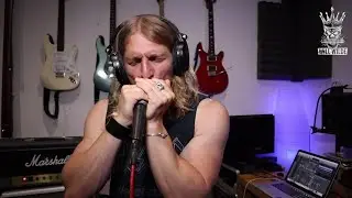 ENTIRE FREEBIRD SOLO PLAYED ON HARMONICA!!! (Lynyrd Skynyrd)