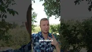 ТОП 100 Выражений на Словацком языке 🇸🇰 1 #shorts #словацкийязык #учимязык #словакия #топ #language