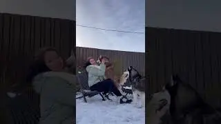 Кресла, которые не имеют сезонности - RELAX
