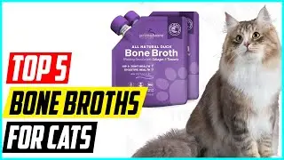 5 Best Bone Broths for Cats