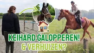 Mijn paard gaat naar een NIEUWE stal & KEIHARD galopperen || Vlog #317