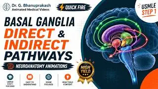 Basal ganglia Direct and indirect pathways - 