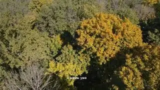 Мы перестали ценить чувства жизни! Мотивация