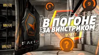 В ПОГОНЕ ЗА ВИНСТРИКОМ