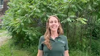The Nature School at TRCA