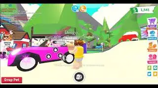 Common to legendary|Adopt me Challenge| Roblox