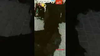 #shorts #عيد_الاضحى #amazigh #استعدادات_بوجلود2023#kanzonvlogs #كفاش_تخيط_الجلود2023#bojlod2023
