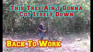Clearing Raw Land For Shed To House BY HAND | tiny cabin | homestead