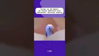 Срочная задача 
