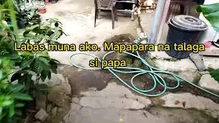 First timer sa Mini Dino !? ITO NA YUN WAY! Bawas stress muna tayo