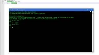 In Python what is object syntax functions and styles