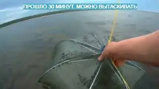 Как ловит рыболовная верша паук