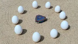 Amazing Chakri Vs Eggs🥚Experiment