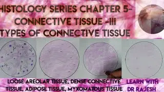 Types of connective tissue: Loose Areolar Tissue, Dense Connective Tissue, Mucoid Tissue- Histology