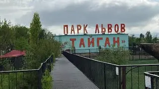 🦓 В ТАЙГАН из Херсонской области привезли зебр!