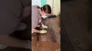 Кухня 