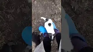 Новые подкидыши😢