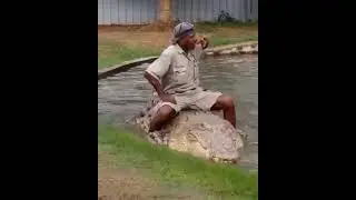 Pawang Buaya
