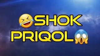 Priqollar