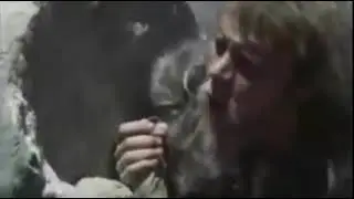 Первобытные люди и колесо!
