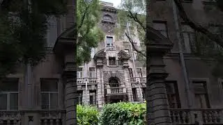Секретный сад в центре Петербурга 🌲🌳