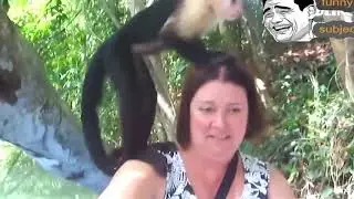🤣 Funniest Animals Videos - Awesome Funny Pet Animals Videos 😇
