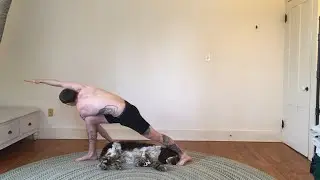 Twisting Side Angle and Twisting Triangle Pose (Tutorial)