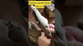 Разбор дрифтвуда Часть 2 #diy