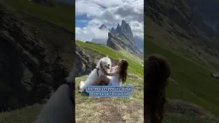 The real luxuries in life 🥹❤️ #luxuries #love #family #thankful #samoyed #dog