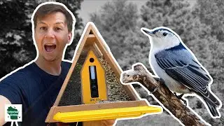Is This Recycled Plastic Smart Bird Feeder REALLY Worth the Hype?