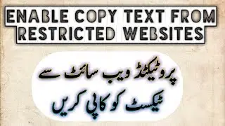 Text Copying Problem from Protected Websites