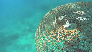 Gopro Hero 3 Black Sualtı Deneme Çekimi 3