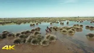 19 Mayıs Kuş Cenneti - Kuşlar Diyarı 4K Trailers 2016