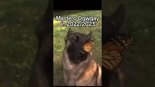 Oogway Fell Off 💀