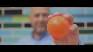 Orange Ball   OnlineNow!