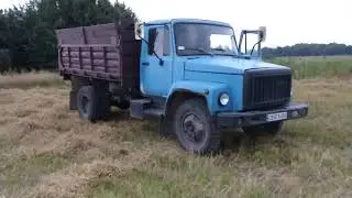 Вожу зерно на газоне воздушного охлаждения 2021. Уборочная зерна.