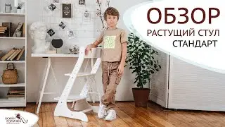 Растущий стул «СТАНДАРТ» Конек-Горбунёк 2021
