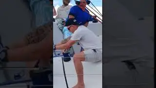 Игра началась ⛵️🔥 📞 +7917 295 63 60