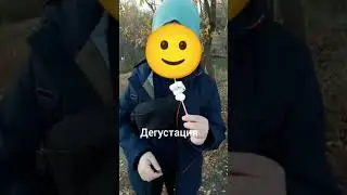 Сделали пикник Часть 2