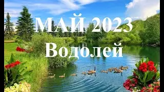 ВОДОЛЕЙ. МАЙ 2023 . Таро прогноз. Что будет? СОБЫТИЯ. СЮРПРИЗЫ, ТАЙНЫ. СОВЕТ ТАРО Татьяна Шаманова