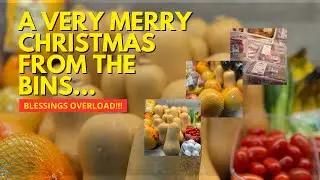 Dumpster Diving (Germany) : PRE CHRISTMAS DIVE : BLESSINGS OVERLOAD!!!