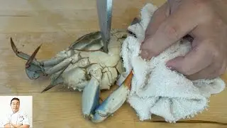 EXTREMELY GRAPHIC: Live Kill and Twice Cooked Blue Crabs