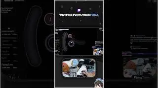 the perfect osu! score (SS)