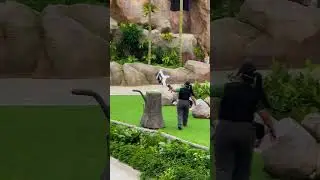Explore Asia’s largest bird park as Bird Paradise opens in 