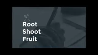 16 02 07 Root, Shoot, Fruit