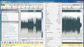 HOW TO REMOVE VOCALS WITH NCH WAVE PAD FROM ANY SONG ||  By NAfees Hameed