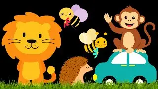 Baby Sensory Video - Infant Visual Stimulation - Sensory Videos For Babies - Newborn Tummy Time