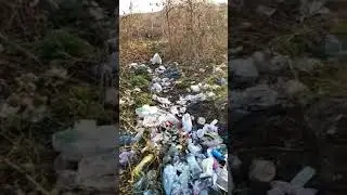 Сміттєвий колапс у селищі Королево на Виноградівщині
