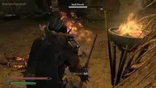 Skyrim SE Random shi