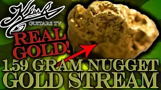 🔴 GOLD STREAM #229 - 1.59 GRAM GOLD NUGGET! FUN INCLUDED!